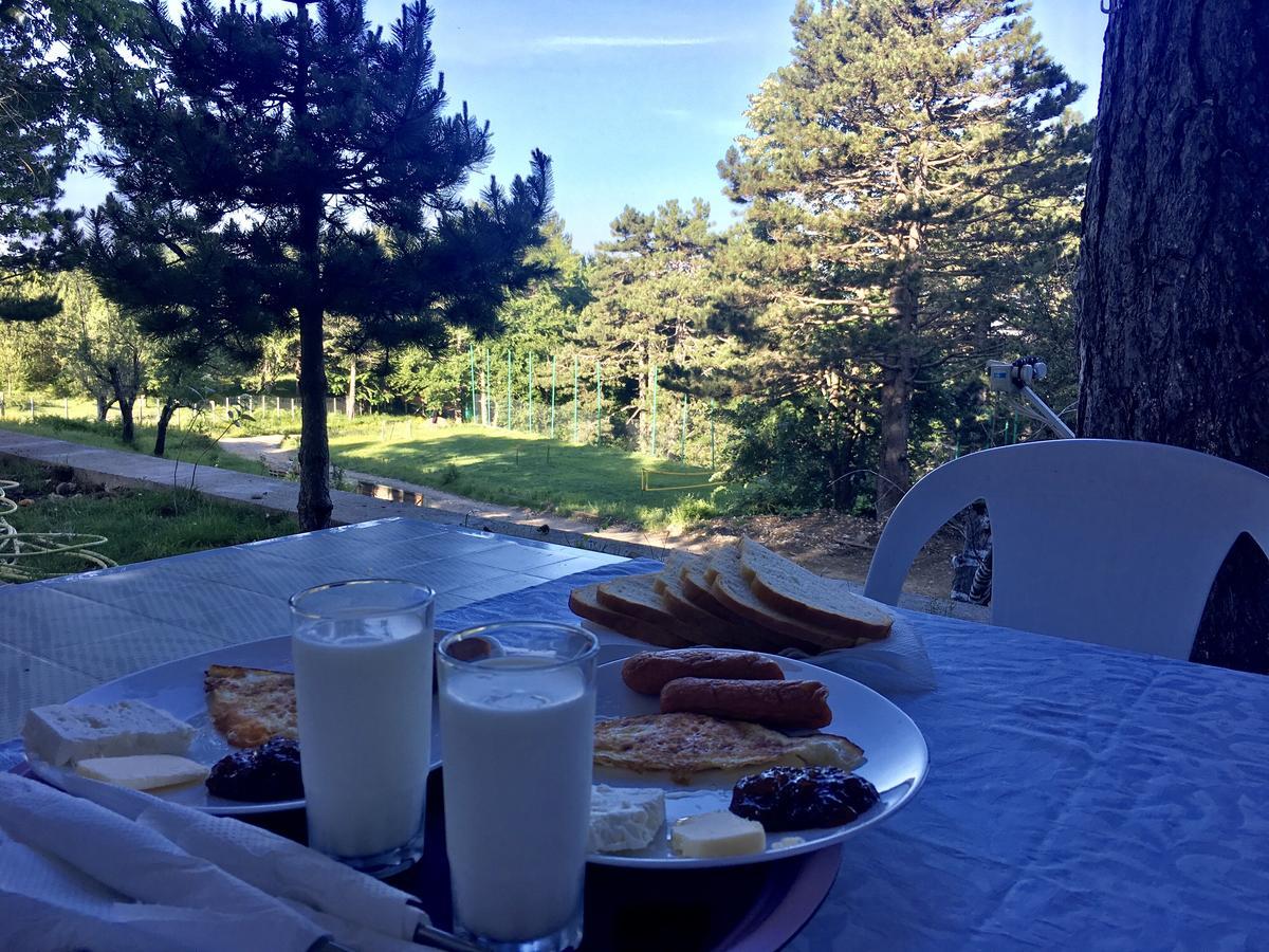 Shkreli Resort Qafeshtame Cudhi-Kamt Экстерьер фото